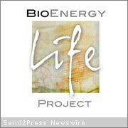 Bioenergy Life Project