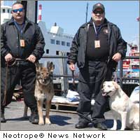 canine explosive detection teams