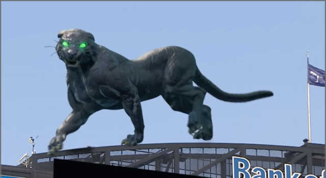GPRS: Carolina Panthers Gentle Giant in 3D