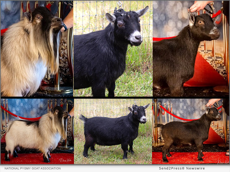 The National Pygmy Goat Association (NPGA)