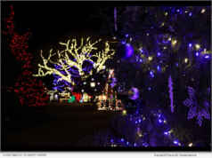 Christmas at Schnepf Farms Returns with Its Biggest Arizona Holiday Experience Yet for 2025