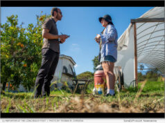 News: The Long Beach Business Journal and Long Beach Post Join The LA Local