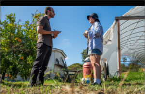 News: The Long Beach Business Journal and Long Beach Post Join The LA Local