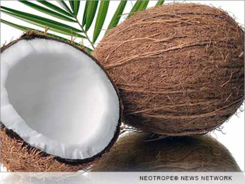 eNewsChannels: Coconut Research Center