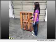 No Lift Pallet Mover