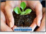 The Gastric Cancer Foundation