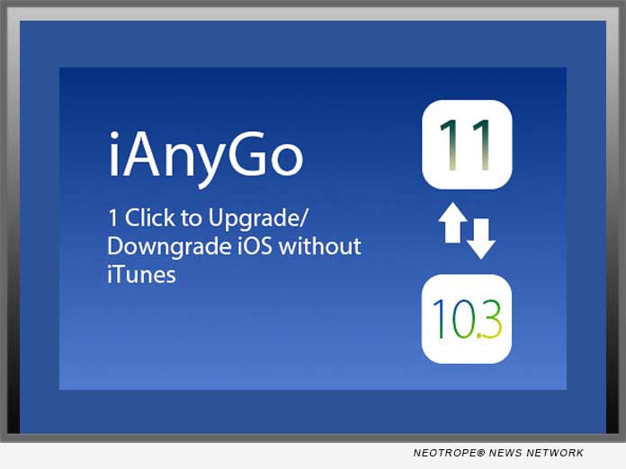 download ianygo full crack
