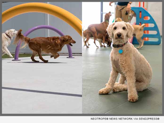 Best Friends Pet Hotel Opens New Facility in Tyngsborough, Mass