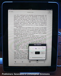 Kindle for iPad adjustments