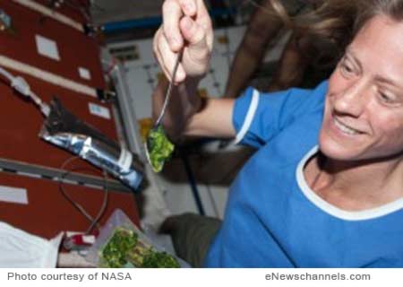 NASA astronaut Karen Nyberg