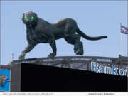 GPRS: Carolina Panthers Gentle Giant in 3D